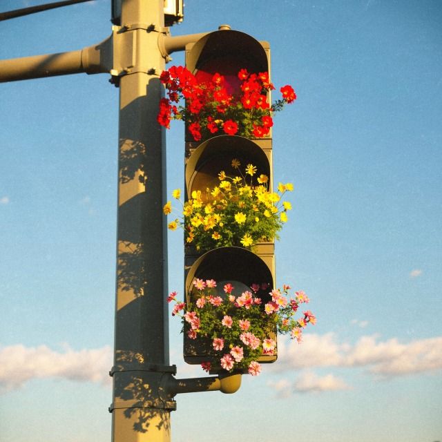 Aesthetics tweet media