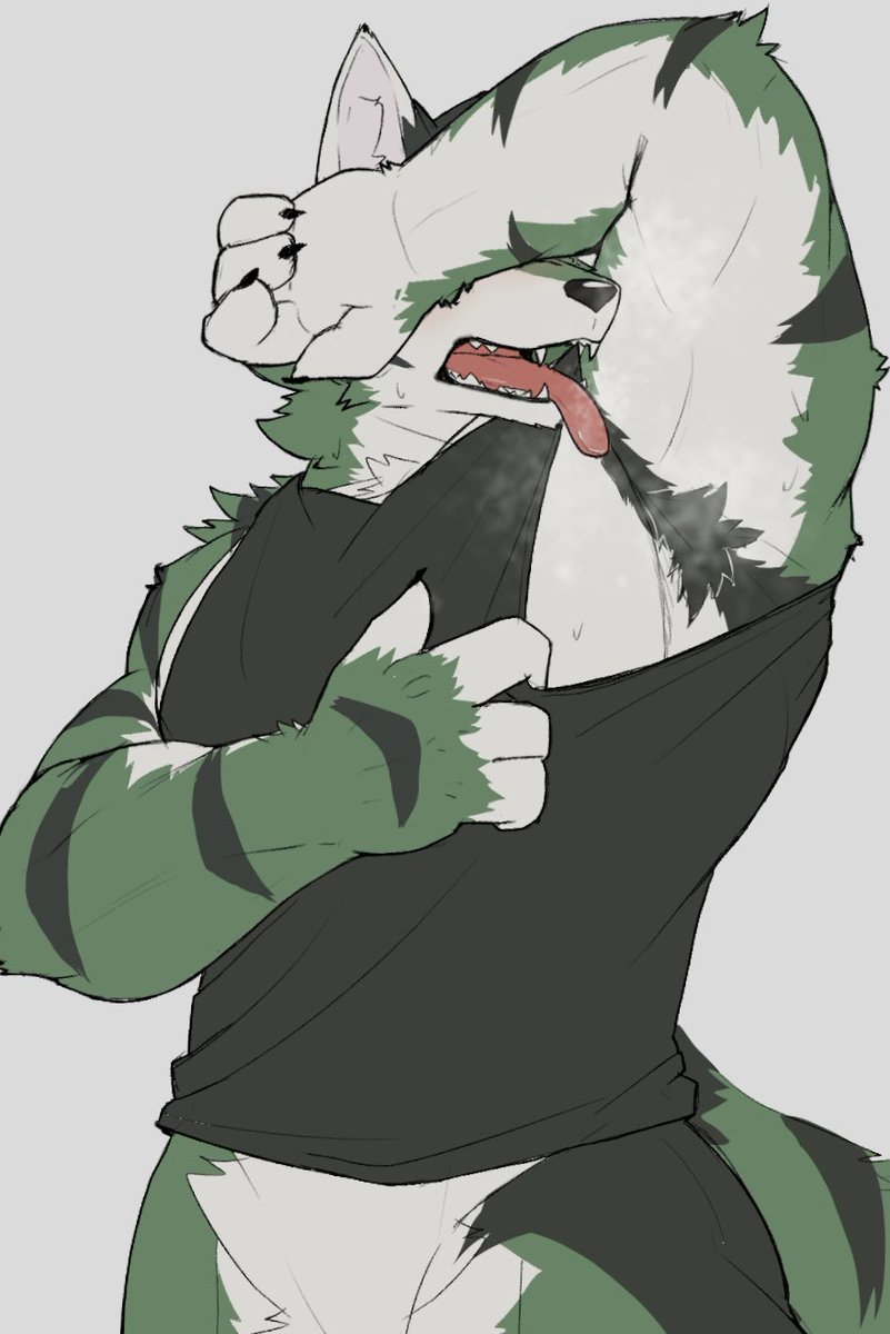 299肉球 tweet media