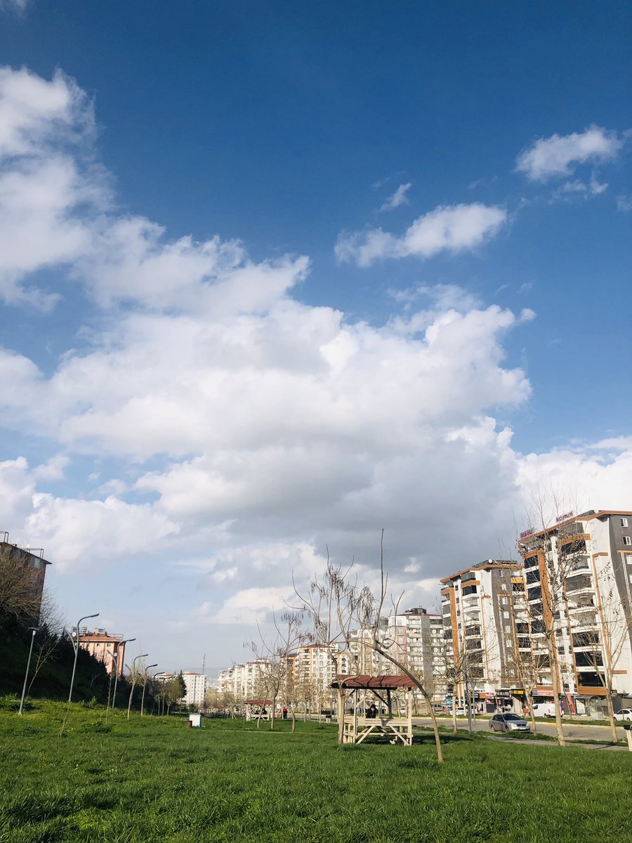 Abdullah tweet media