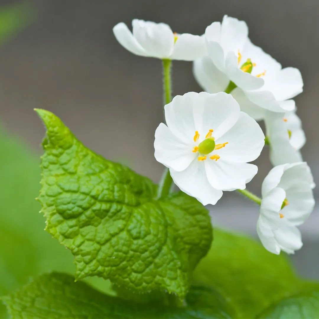 Teleported tweet media