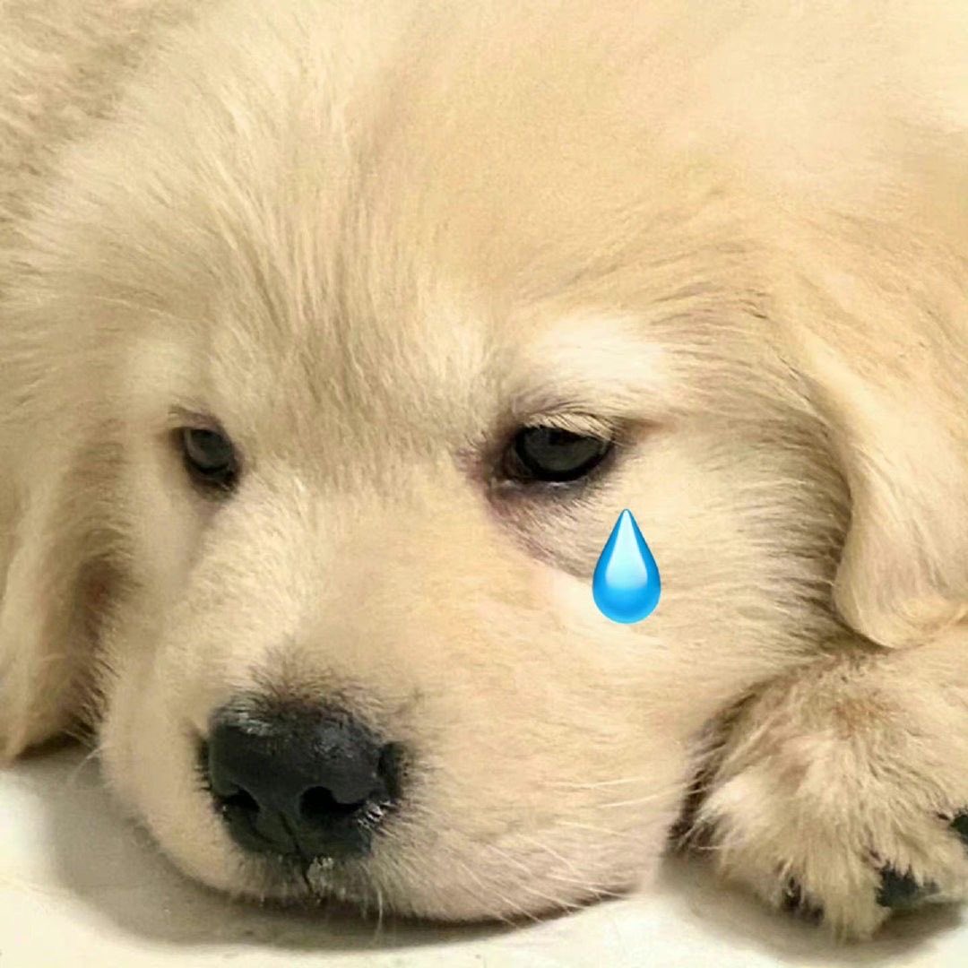 ֯ babe ✿𓈒 tweet media