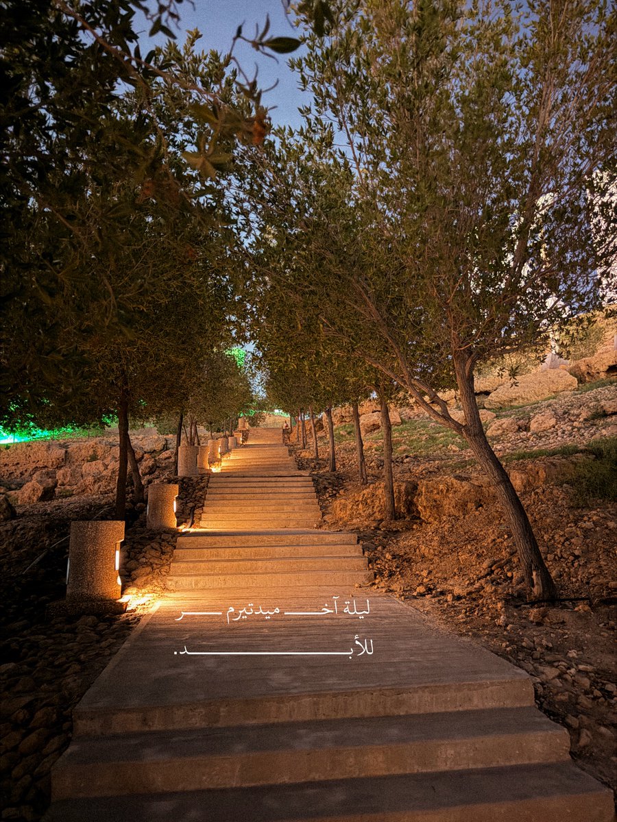 عَـلي tweet media