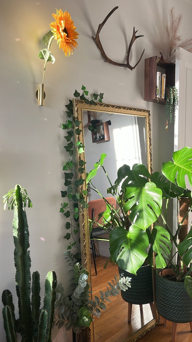 nina 🌞 tweet media