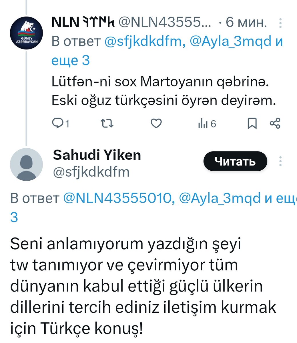 NLN 𐱅𐰇𐰼𐰚 tweet media