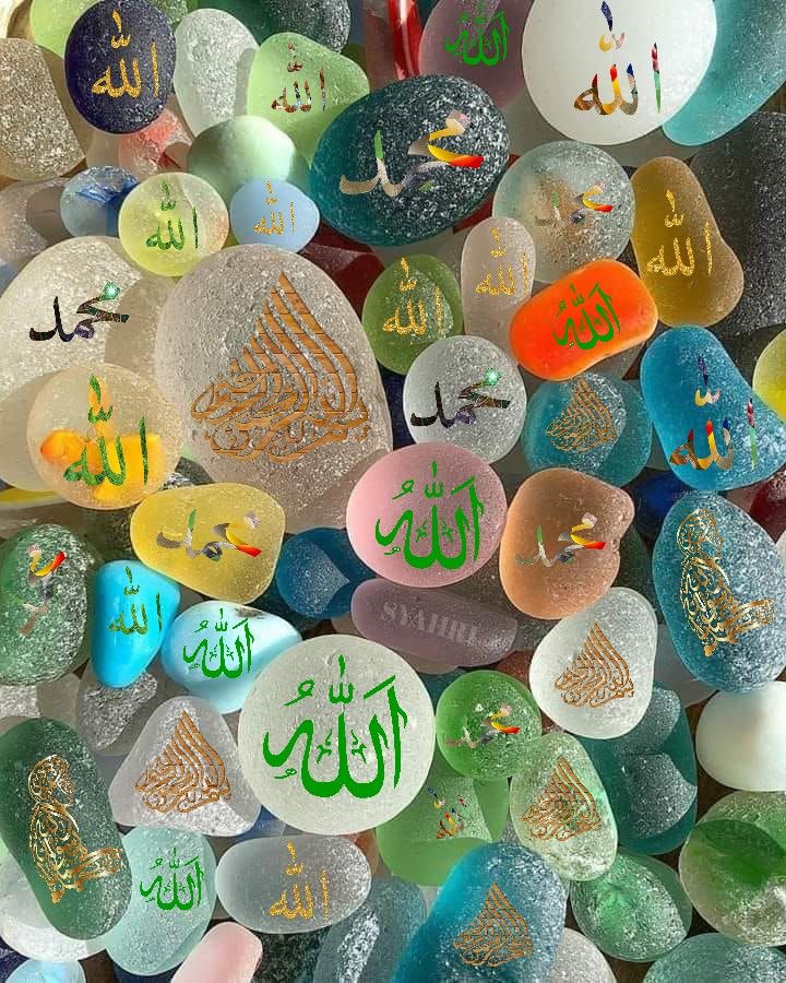 𝔸𝕝𝕚 tweet media