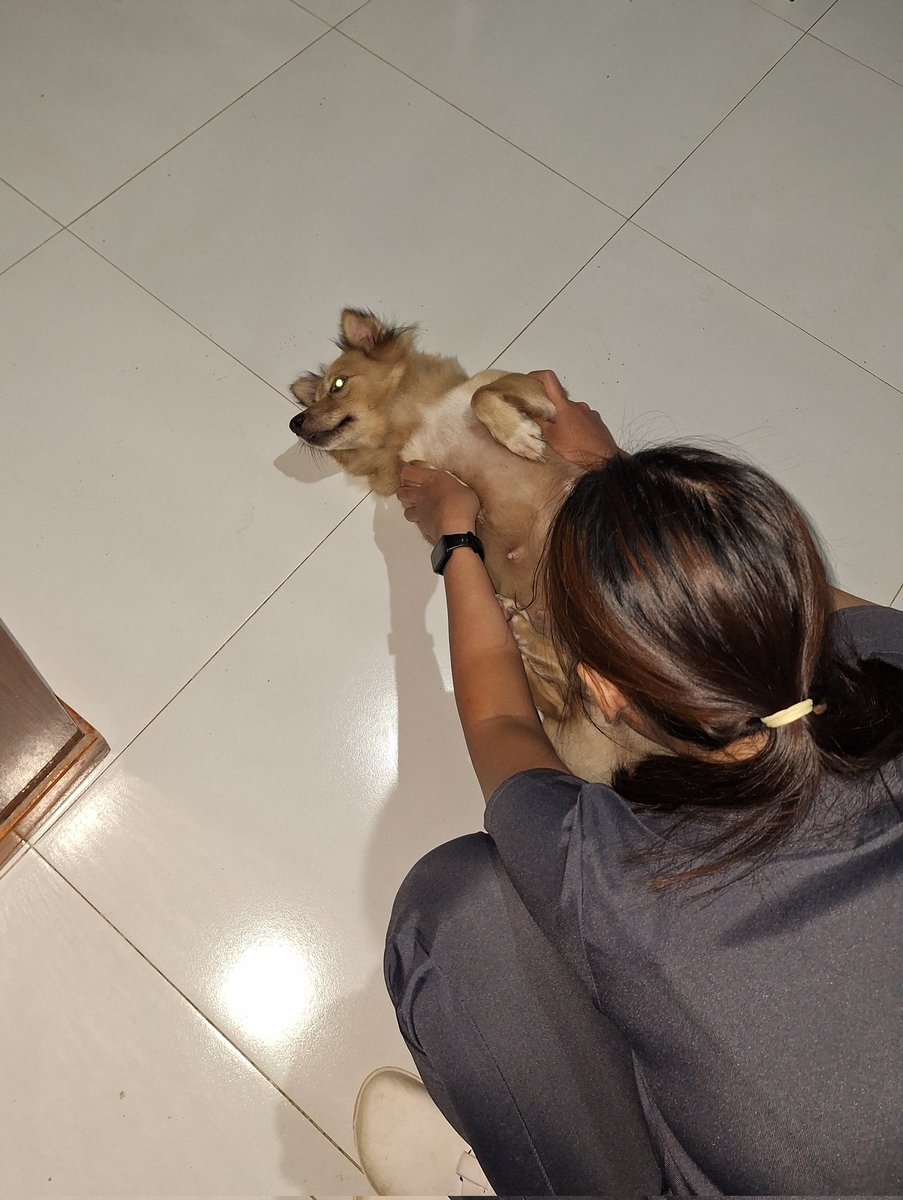 rraineeeeee's tweet photo. what replenishes me after every exhausting duty. can't wait to see my amay tom T_T https://t.co/mZtiBNJS89