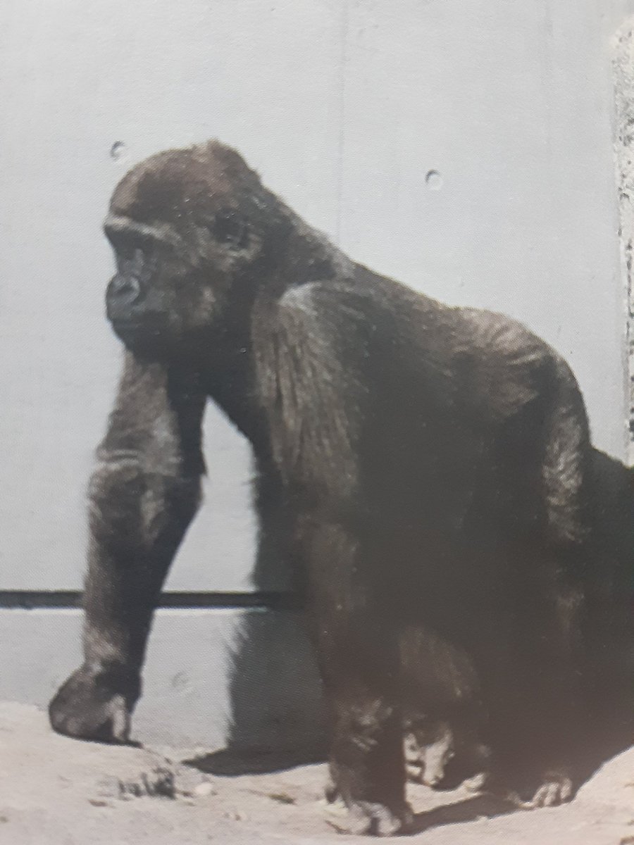 ウナムゲン tweet media