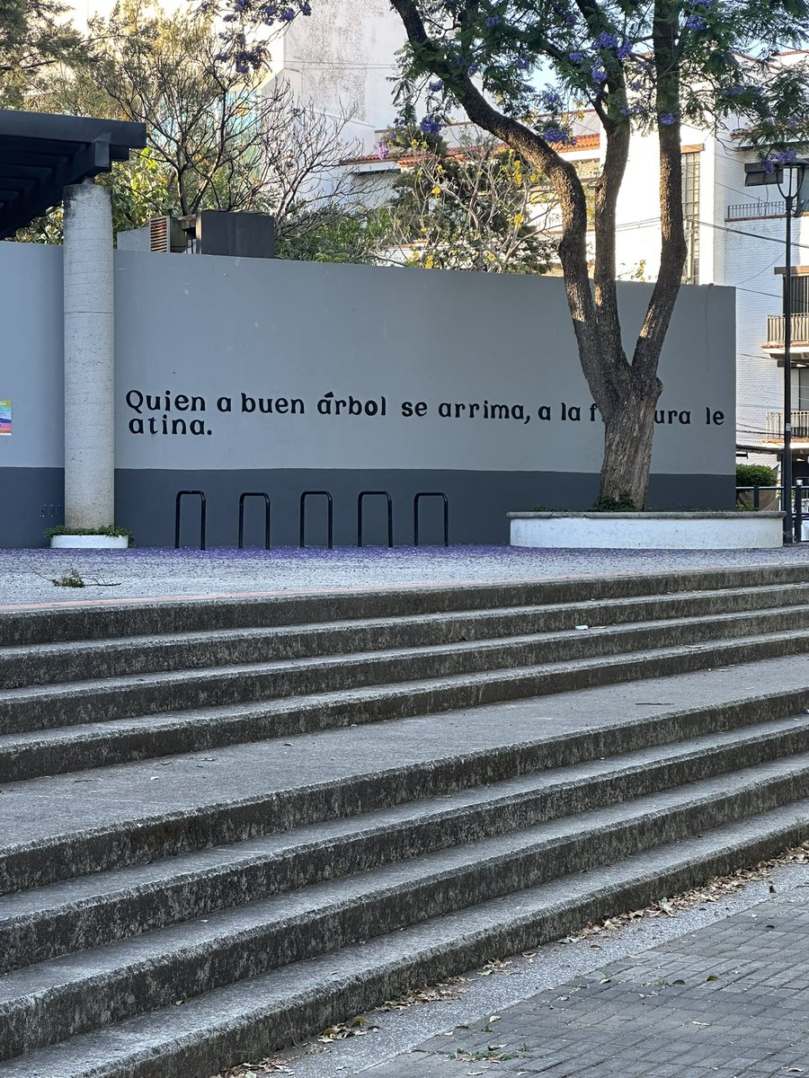 ingasioAZ's tweet photo. Día freskito https://t.co/TY9GM3rH2W