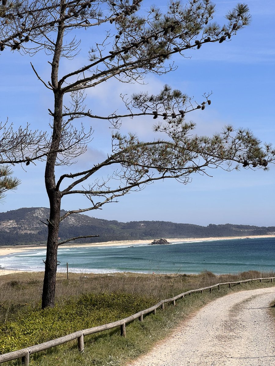 Jaime Novoa tweet media