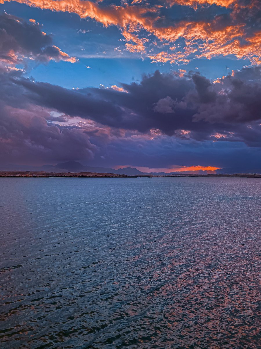 دِفء |🌿 tweet media