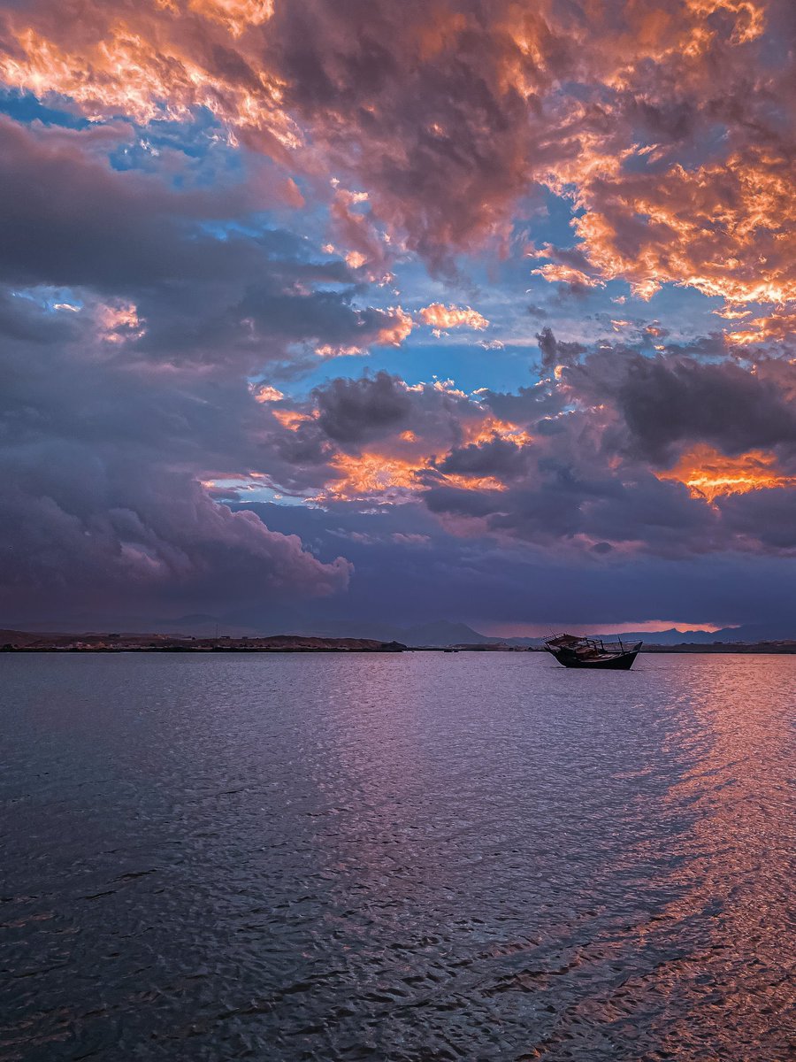 دِفء |🌿 tweet media