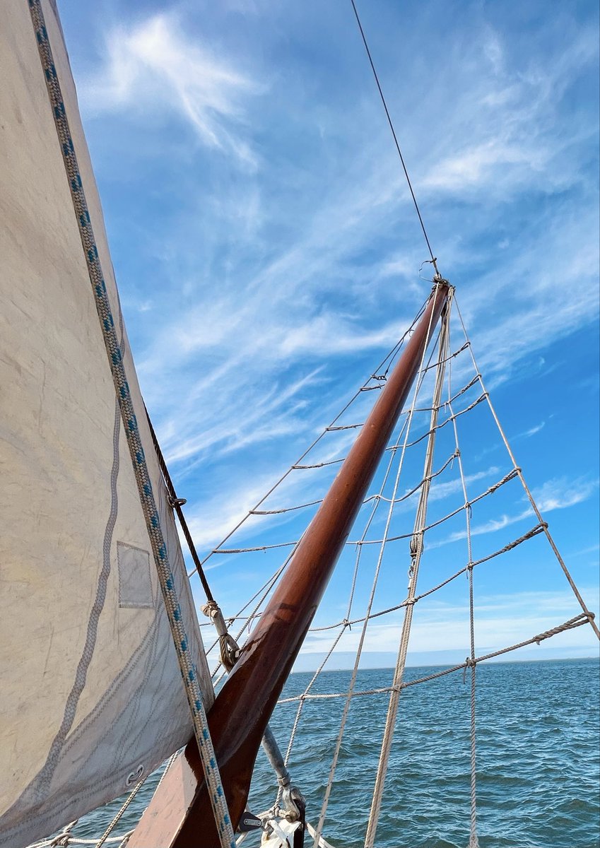 Niels - Stocksalute tweet media