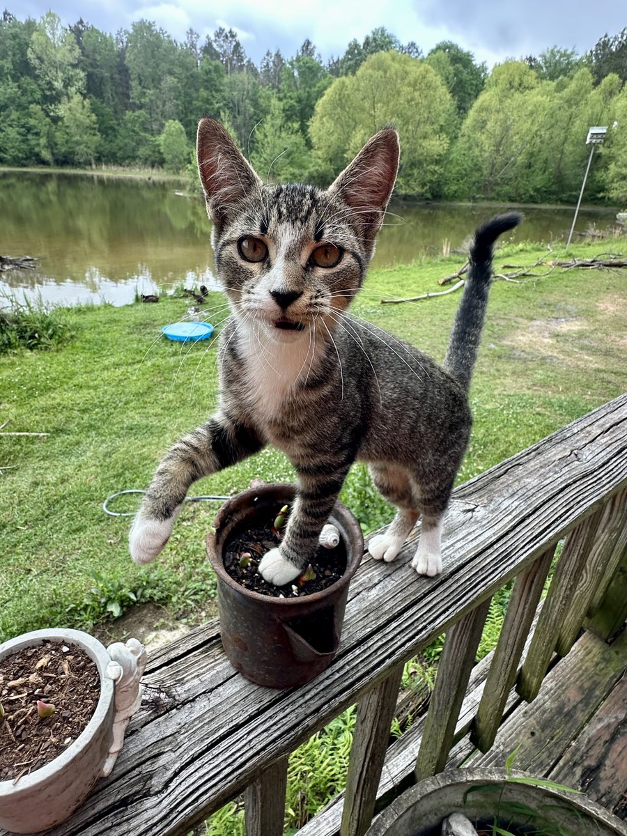 the closet ploy tweet media