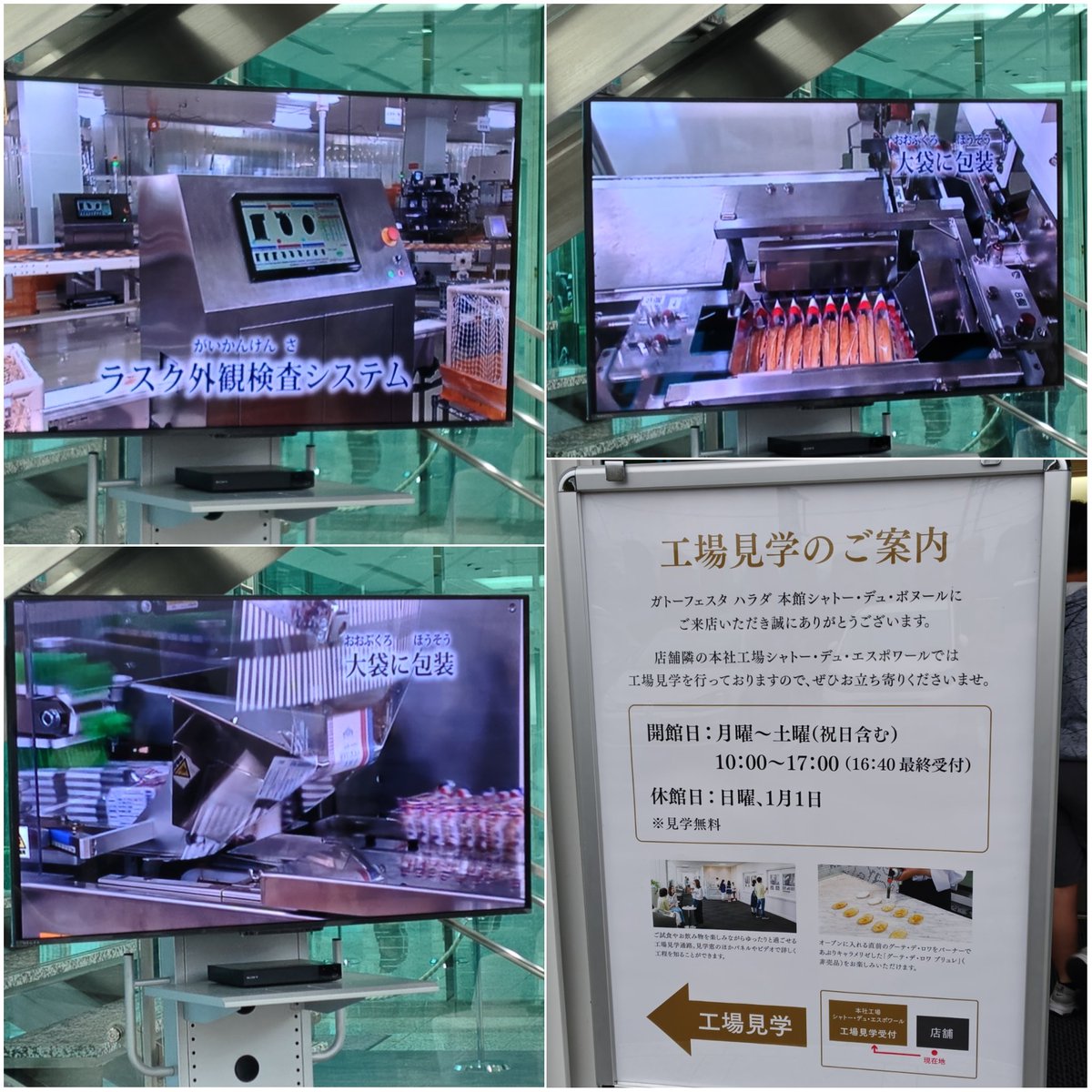 エクシード(雑多アカウント) tweet media