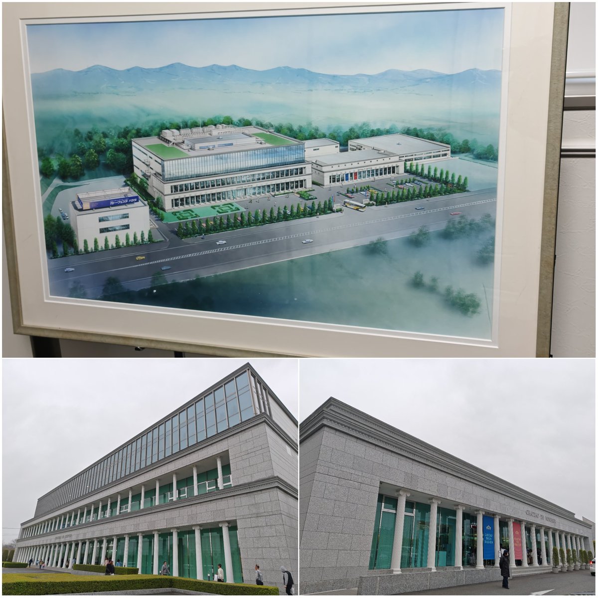 エクシード(雑多アカウント) tweet media