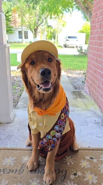 Aisha ✩‧₊˚ tweet media