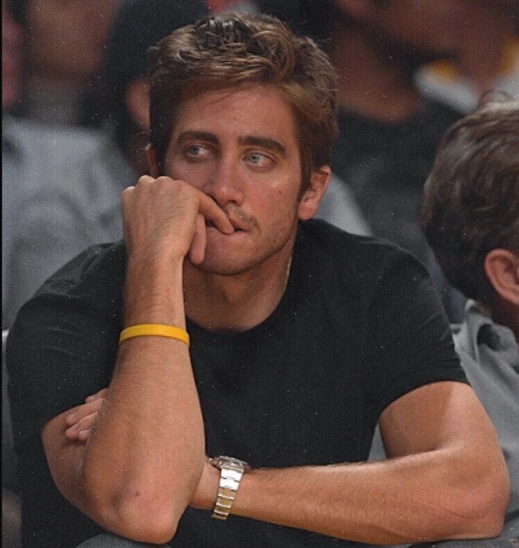 daily jake gyllenhaal tweet media