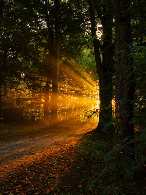 #camer_A_pril #ochtendlicht vroeg opstaan en dan worden beloond met een zonneharp ❤️ <a href="/jolandabrwr/">JoLaNDa_hobbyfotograaf</a>