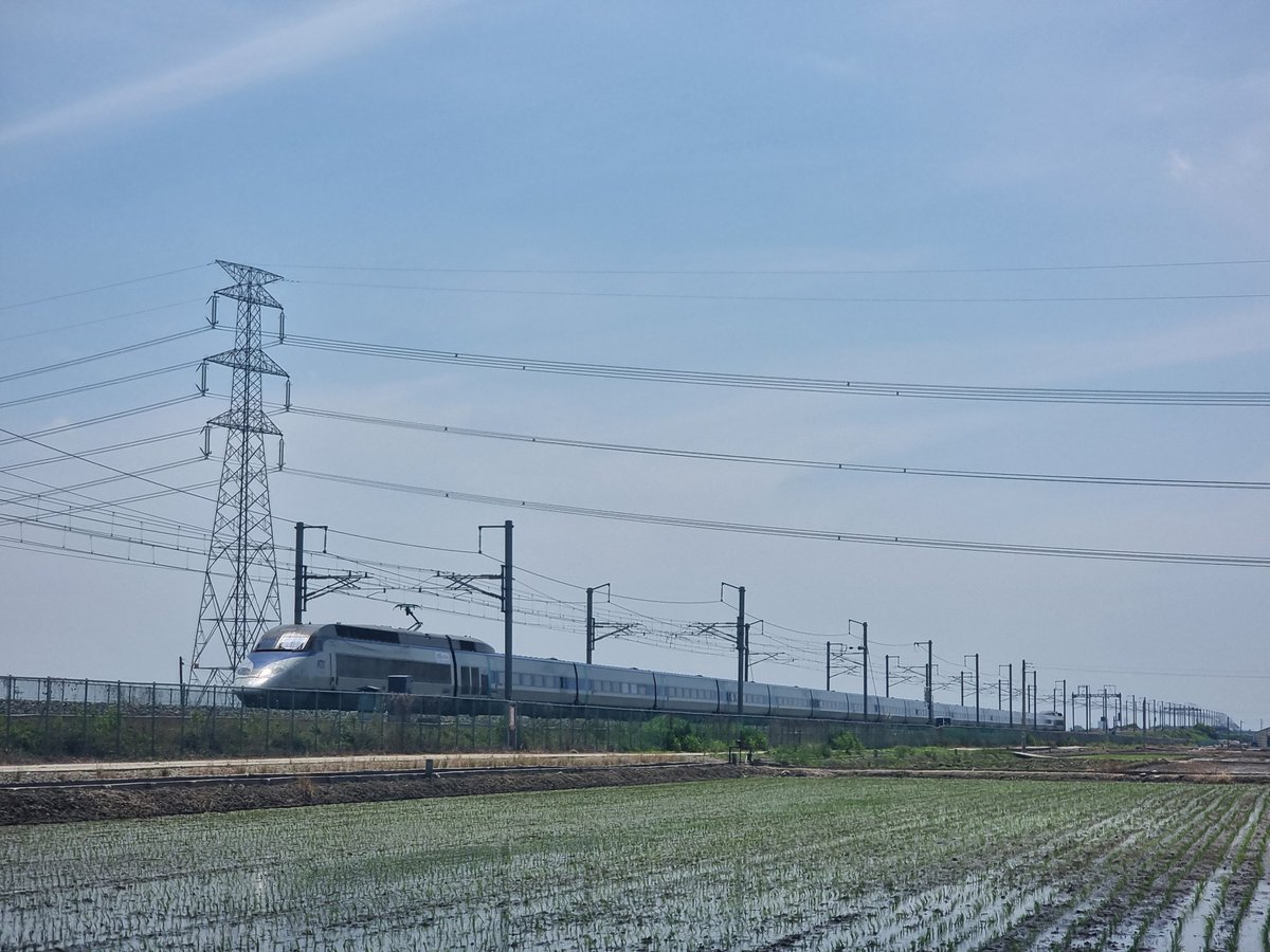 레빗레일 tweet media