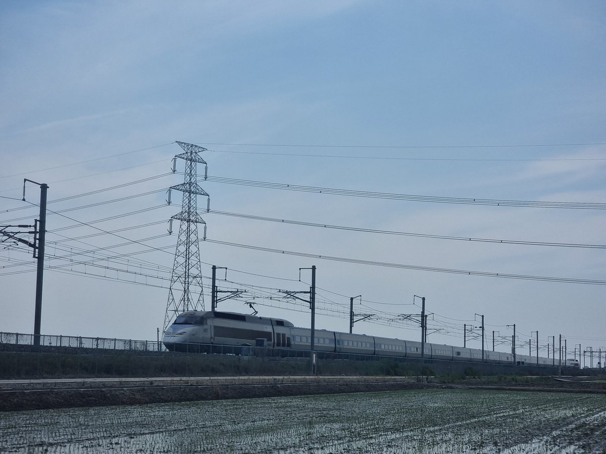 레빗레일 tweet media