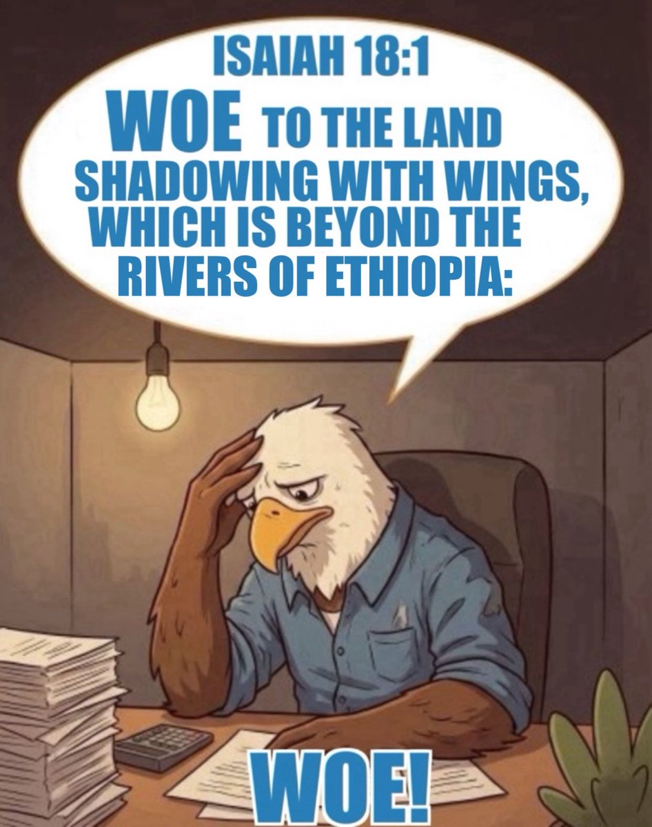 C Ducket tweet media