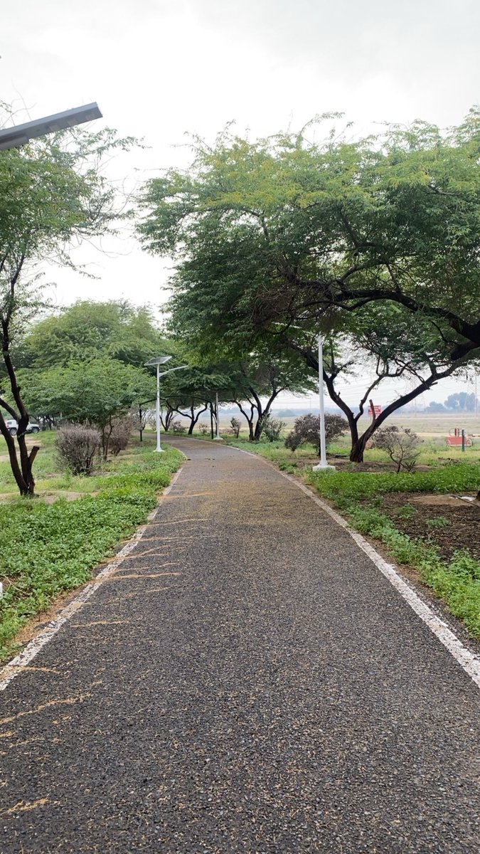 عياد الدغيشم ابن عيادة tweet media