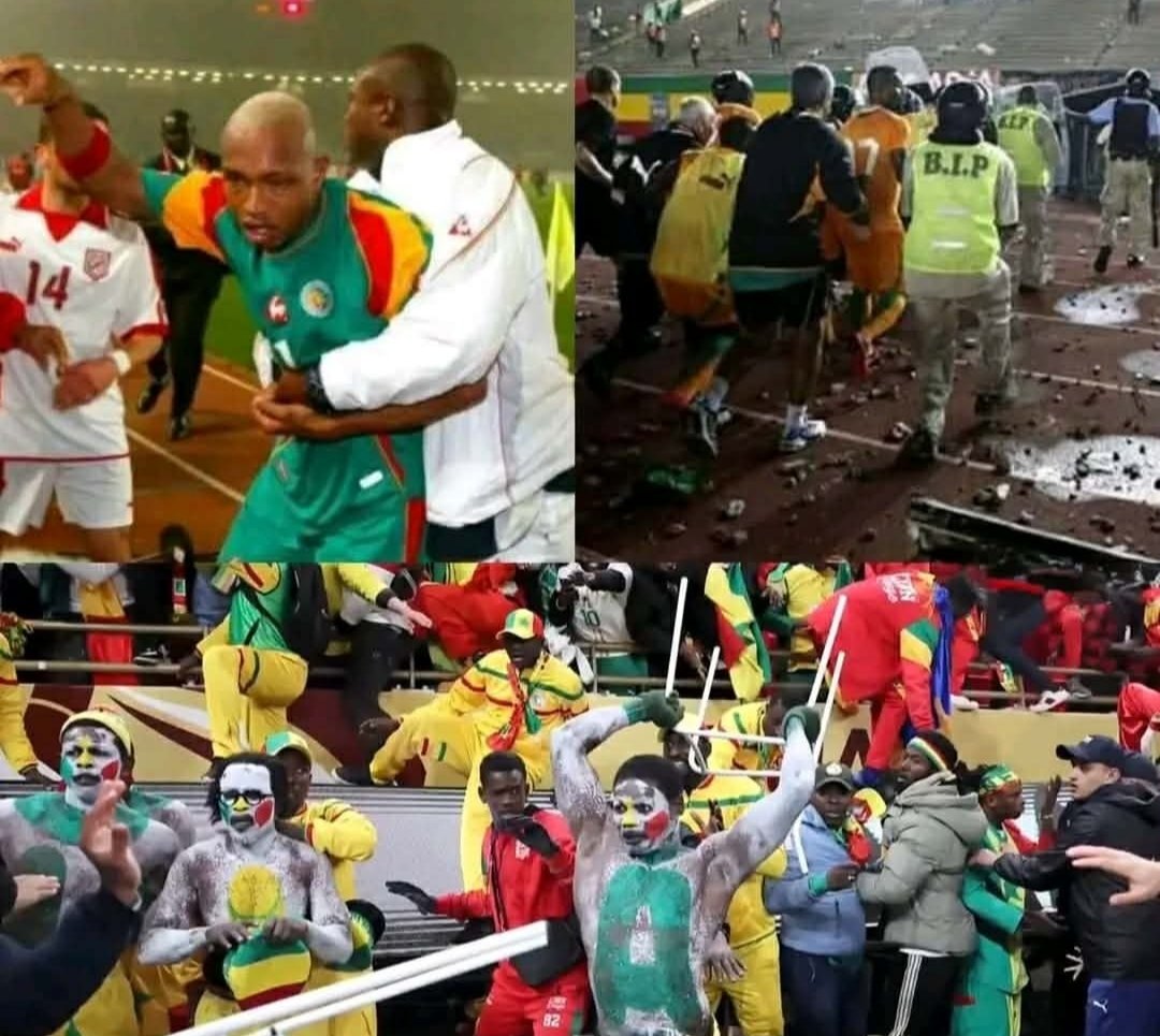 𝑳𝒂 𝒍𝒊𝒐⛥𝒏𝒏𝒆 tweet media