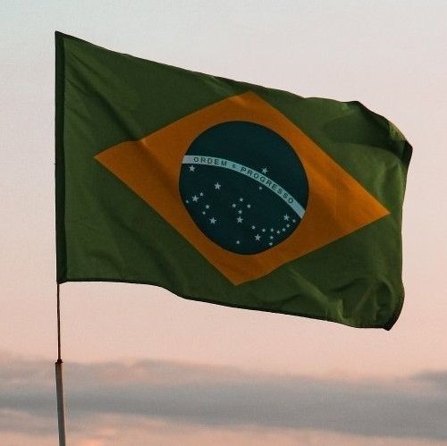 BAD BUNNY DAILY UPDATES tweet media