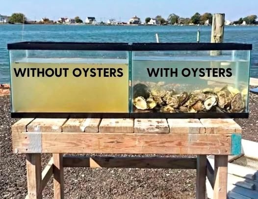 Give A Shit About Nature tweet media