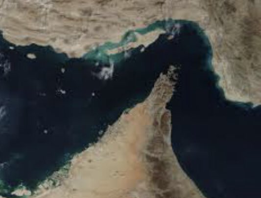 S.FHosseini tweet media