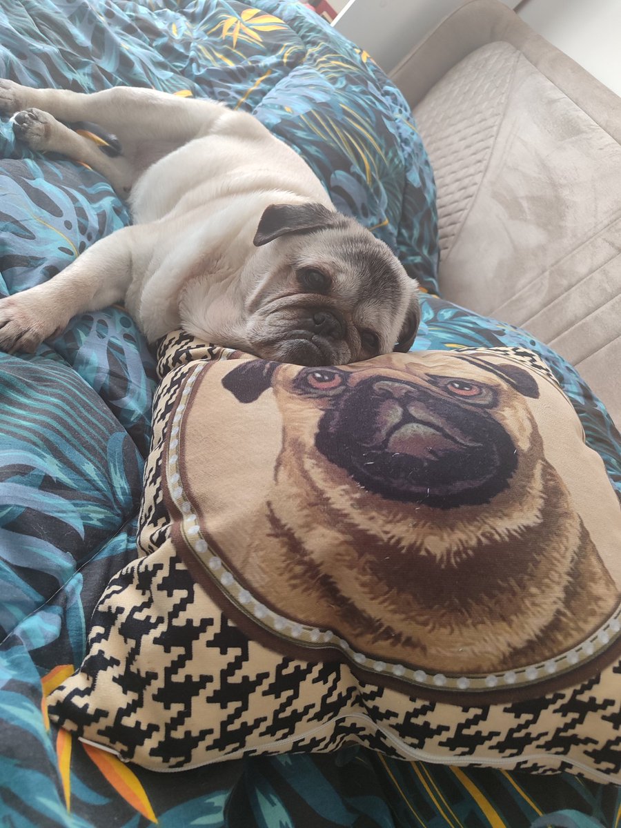 Ulu Kamgal Bado ve Tombi Bacı tweet media