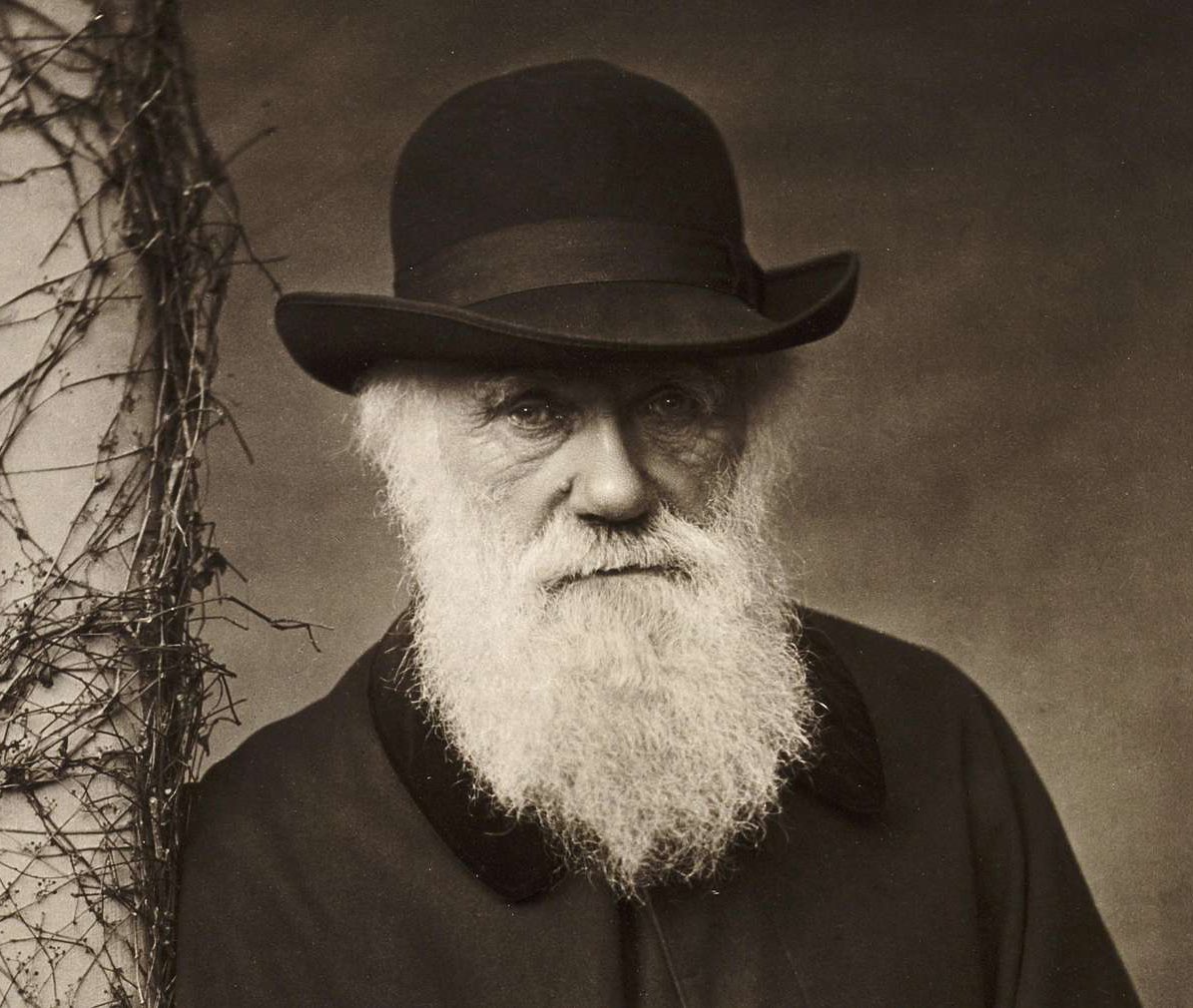 Naturalphilosy's tweet photo. “A man who dares to waste one hour of time has not discovered the value of life.”

— Charles Darwin https://t.co/ZT0J1MAsNs