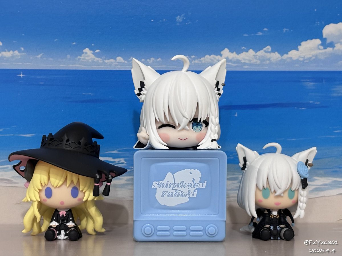 Fu Yu ⚾️ ͟͞͞=╭(╹ᆺ╹´๑) 🐻💿🐏🐾 tweet media