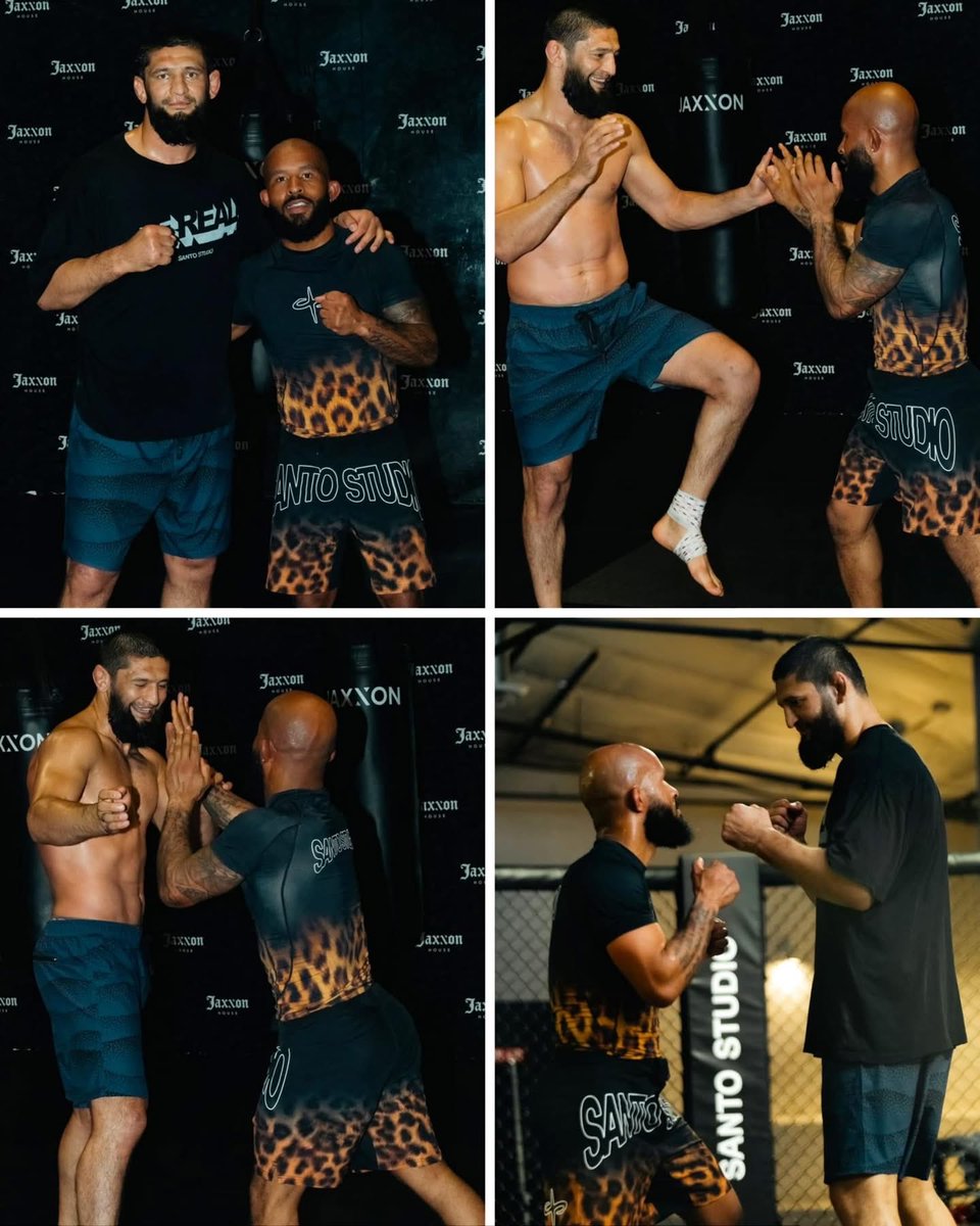 Smesh Talk tweet media