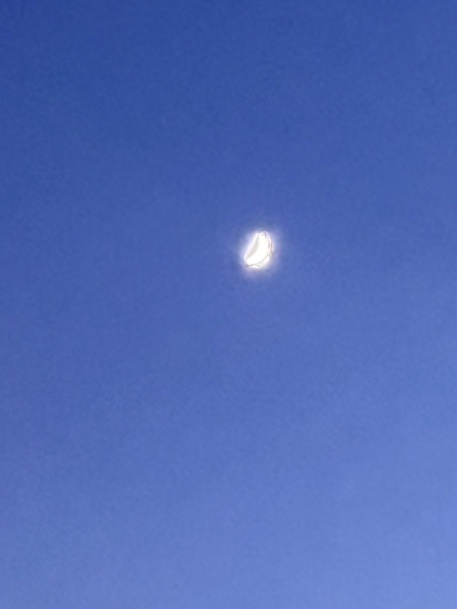 戌戸寧々(新垢) tweet media