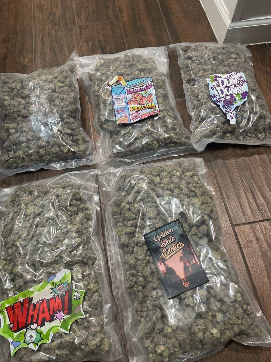 sincity seeds tweet media