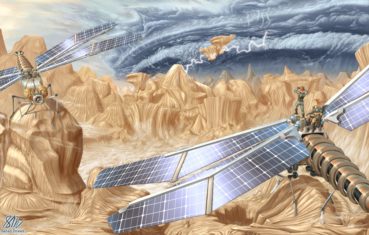 Sarah McKenzie tweet media