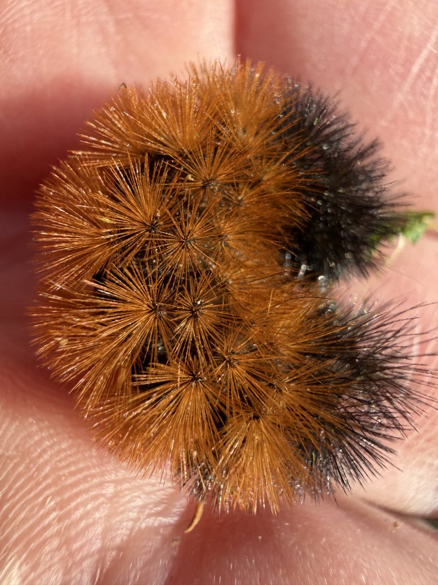 PC Philanthropy tweet media