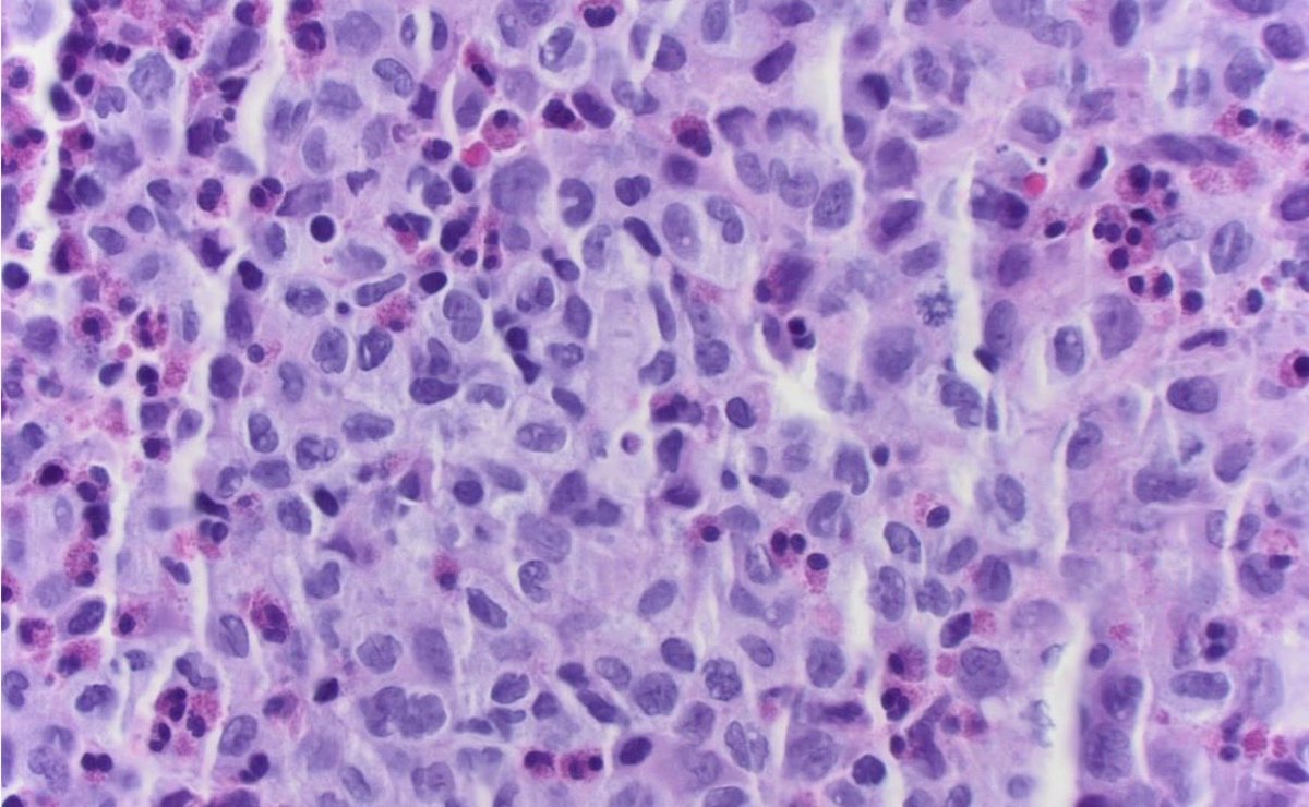 CUpathology tweet media