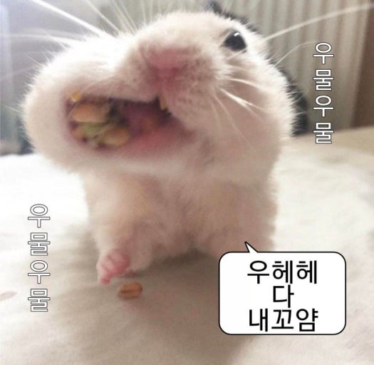 남남수수학학원원장장녀 tweet media