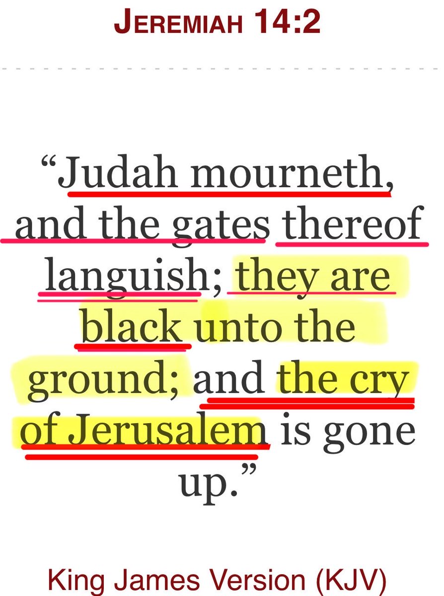 C Ducket tweet media