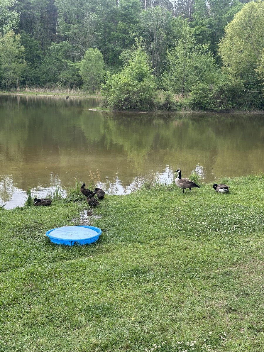 the closet ploy tweet media