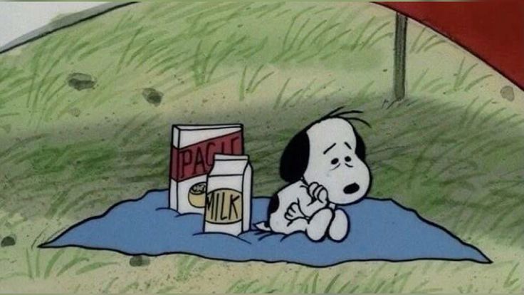 Snoopy tweet media