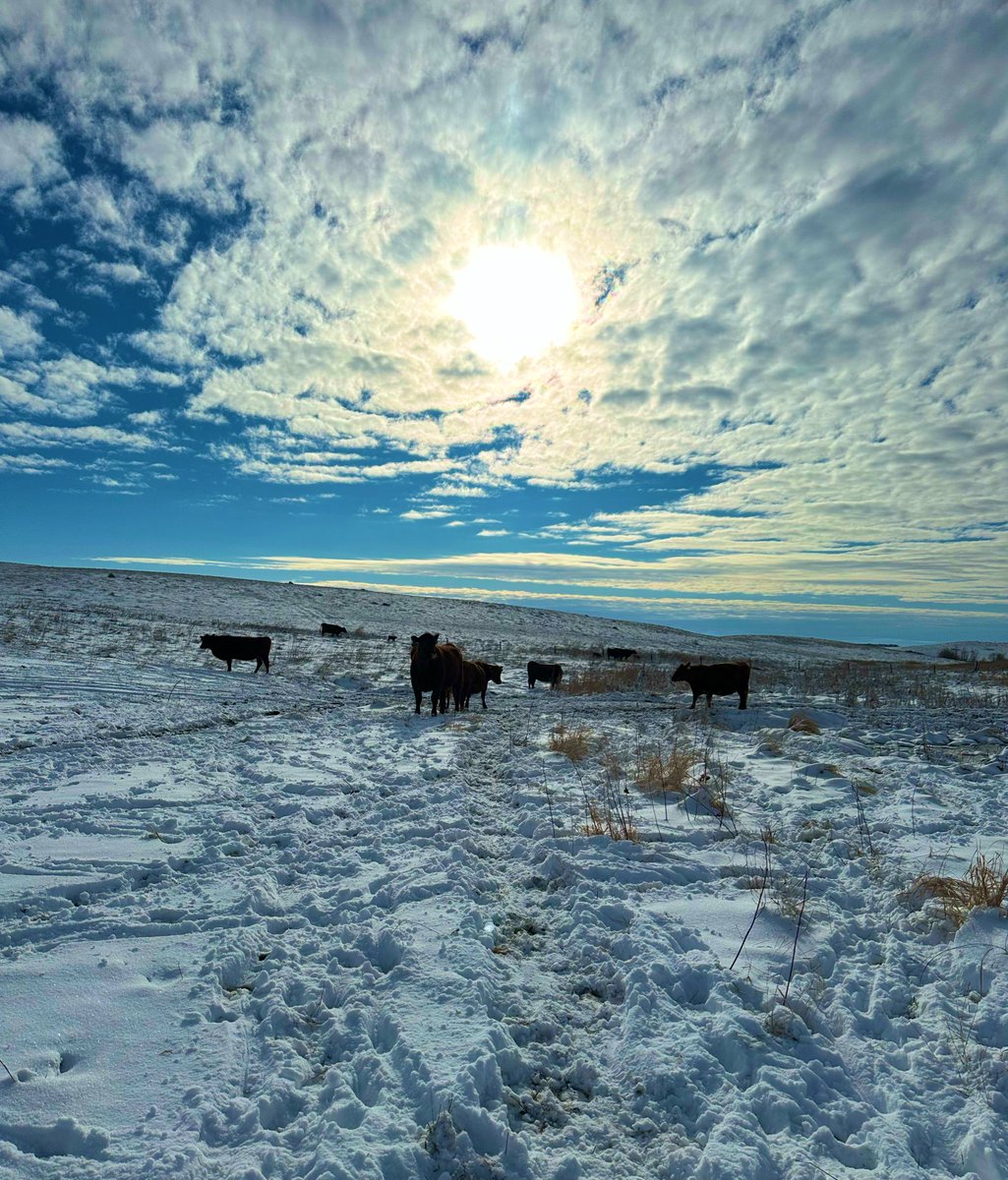 Riley Schriefer tweet media