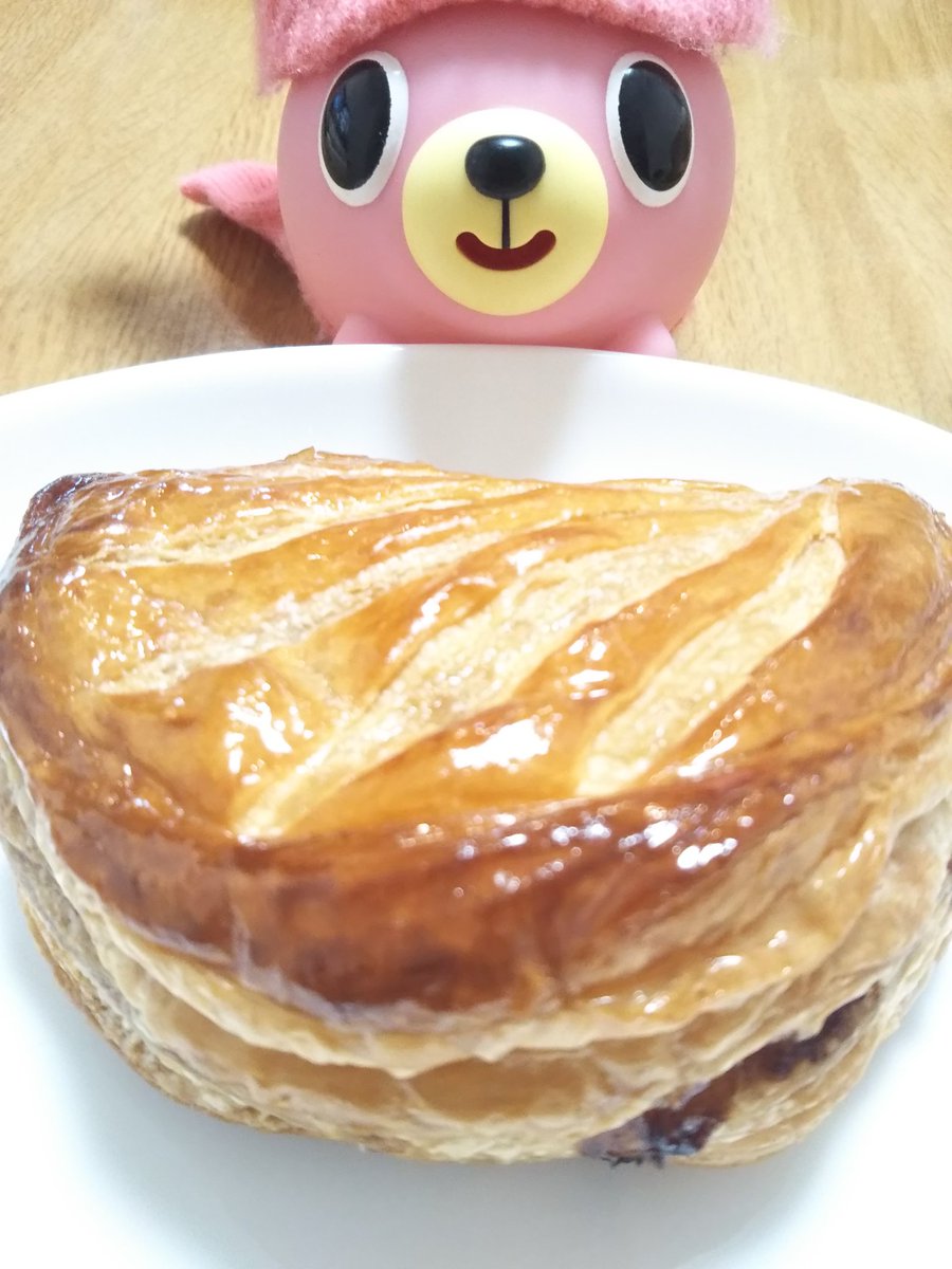 MusicLabo写真部 tweet media