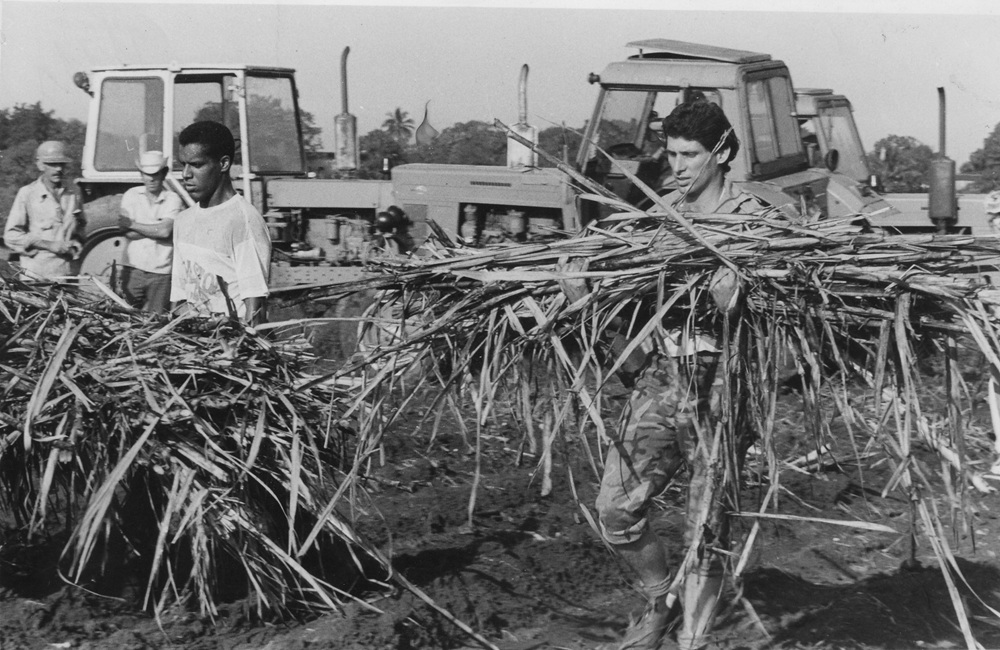 JuventudRebelde tweet media