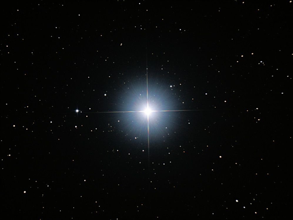 Stargirl tweet media