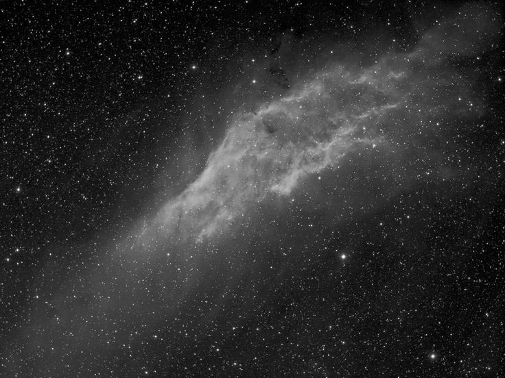 Stargirl tweet media