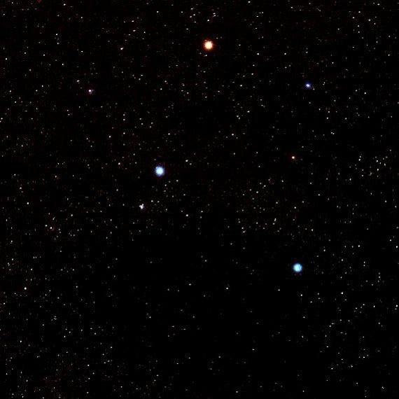 Stargirl tweet media