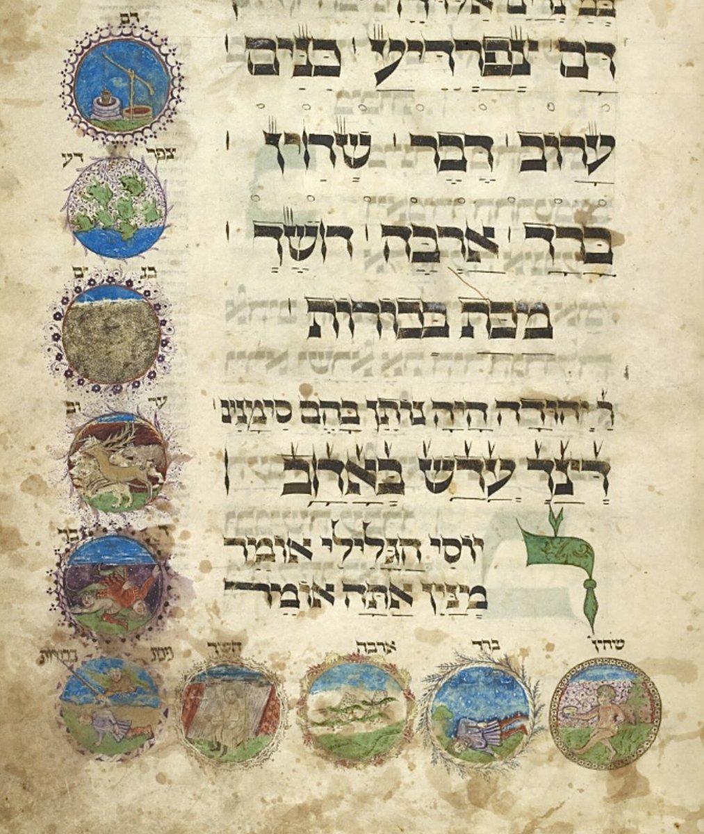 red_loeb's tweet image. The ten plagues represented in medallions.    
#Passover  
BL Add MS 14762; the 'Ashkenazi Haggadah'; 1430 CE-1470 CE;f.17r @BL_HebrewMSS @BLAsia_Africa